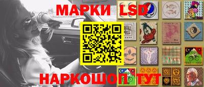 гидропоника Заволжье